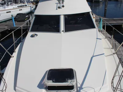Polyester Motorboat Sealine 305 Statesman Photo 12