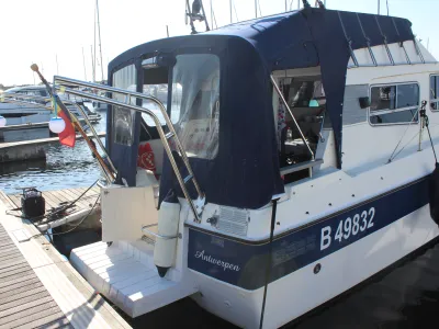 Polyester Motorboat Sealine 305 Statesman Photo 5