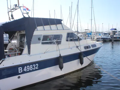 Polyester Motorboat Sealine 305 Statesman Photo 3