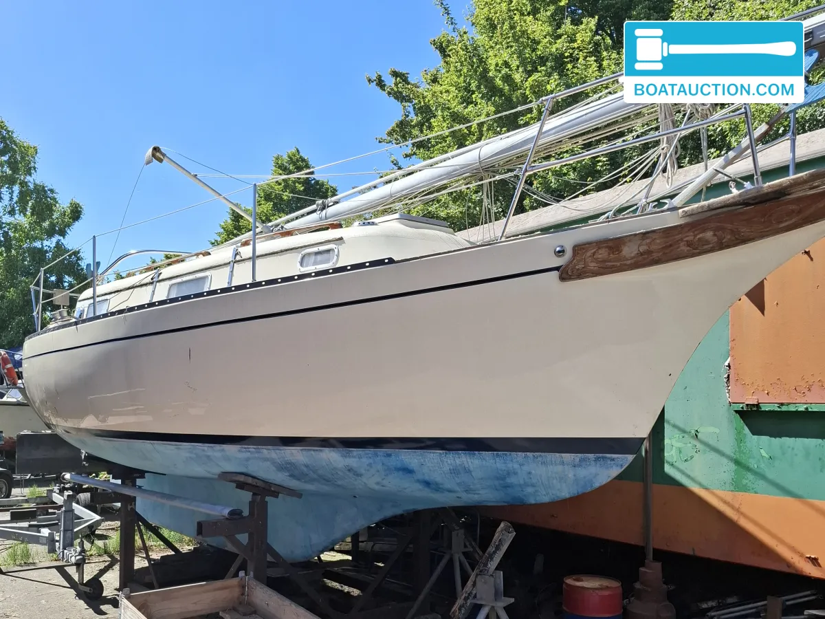 Thumbnail - Bayfield 29