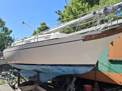 Bayfield 29