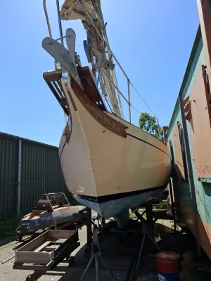 Polyester Zeilboot Bayfield 29 Foto 1