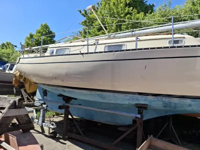 Polyester Zeilboot Bayfield 29 Foto 2