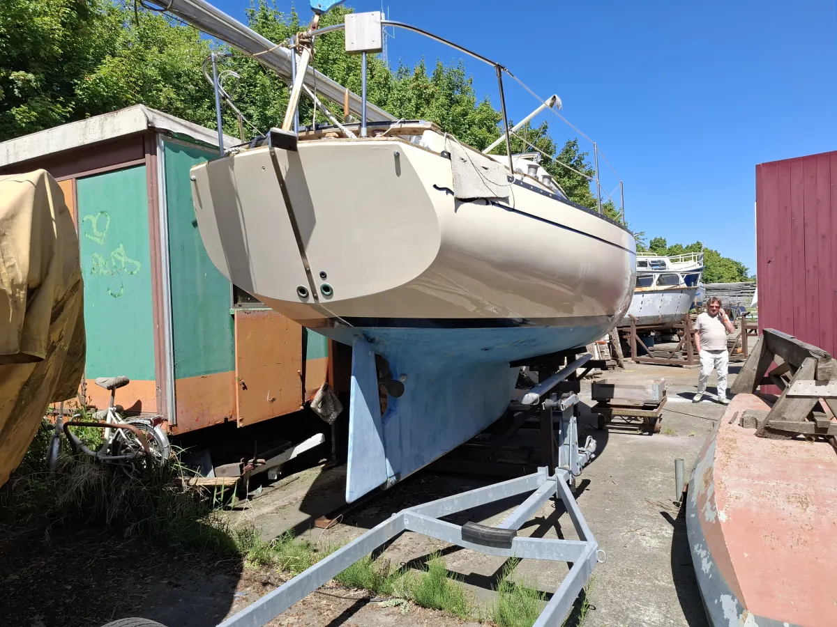 Polyester Zeilboot Bayfield 29