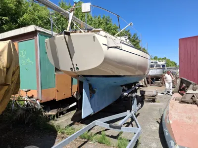 Polyester Zeilboot Bayfield 29 Foto 3