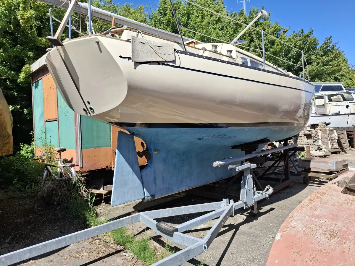Polyester Zeilboot Bayfield 29