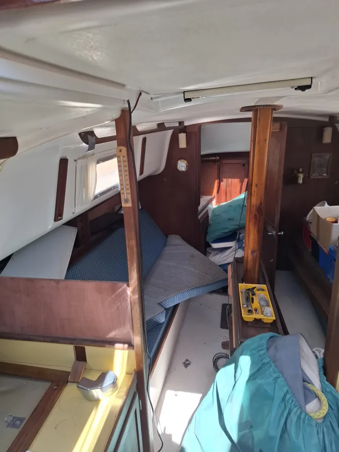 Polyester Zeilboot Bayfield 29