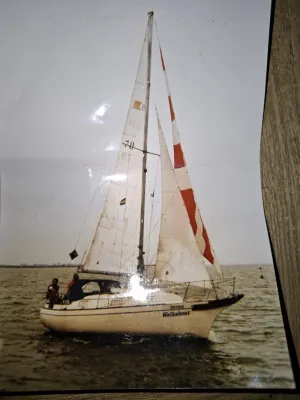 Polyester Zeilboot Bayfield 29 Foto 19