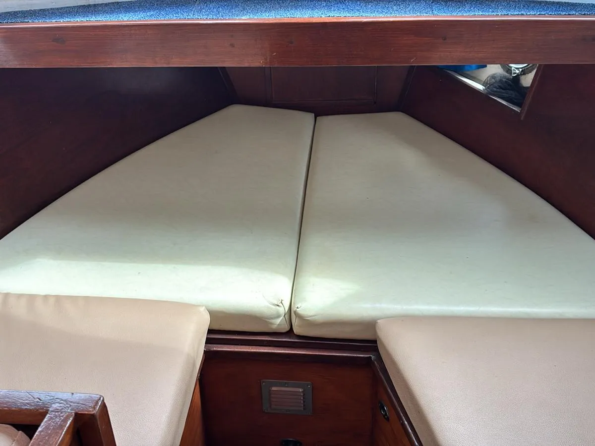 Steel Motorboat Cascaruda 800