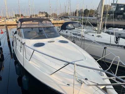 Polyester Motorboot Cranchi 39 endurance Foto 3