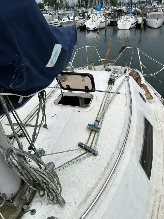 Polyester Sailboat Challenger europe Sailing boat