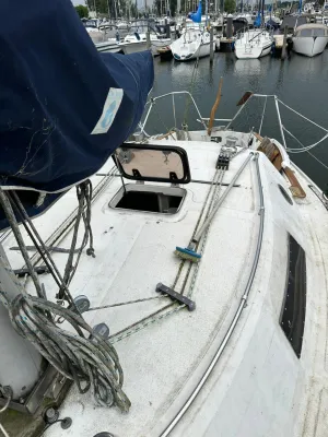 Polyester Sailboat Challenger europe Sailing boat Photo 2