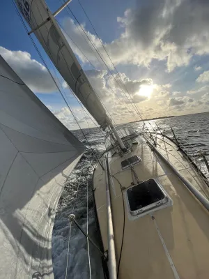 Polyester Sailboat Kalik 33 Photo 4