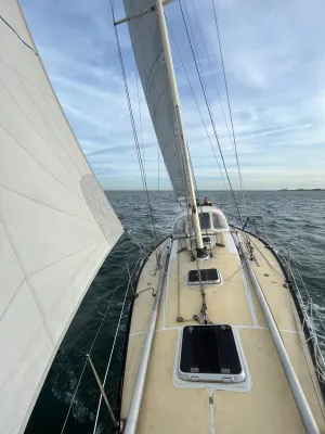 Polyester Sailboat Kalik 33 Photo 13