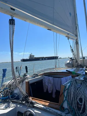 Polyester Sailboat Kalik 33 Photo 18