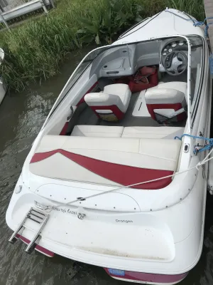 Polyester Bateau rapide Campion Allante S505 Photo 2