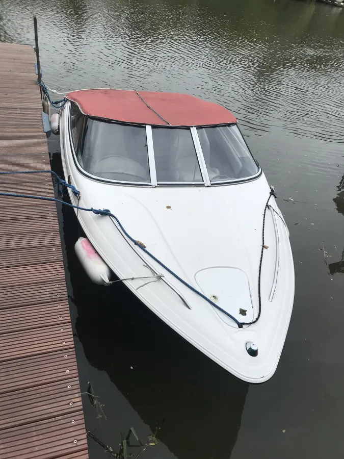 Polyester Bateau rapide Campion Allante S505