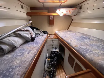 Polyester Sailboat Ocean 80 Photo 24