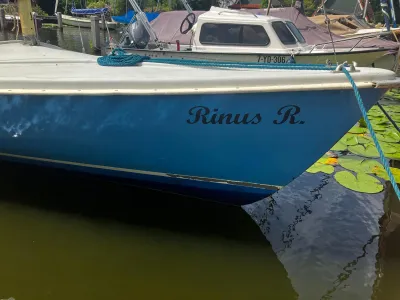 Polyester Open zeilboot Randmeer Classic 600 Photo 8