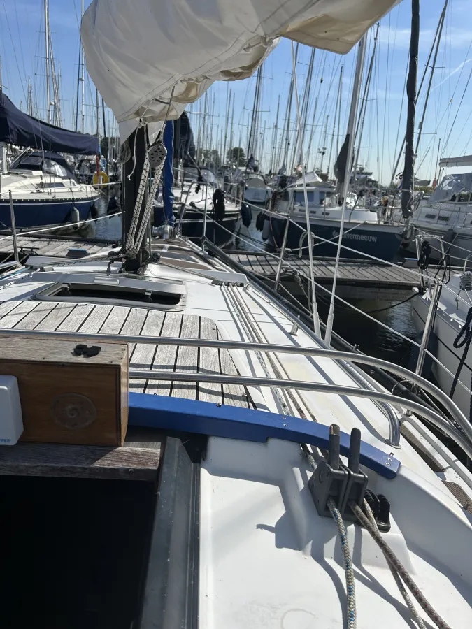 Polyester Zeilboot Bavaria 890