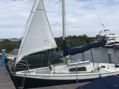 Polyester Zeilboot Kievit 680 Foto 4