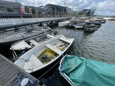 Polyester Budgetboat Rowing boat 300 Photo 1