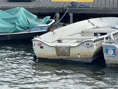 Polyester Budgetboat Rowing boat 300 Photo 2