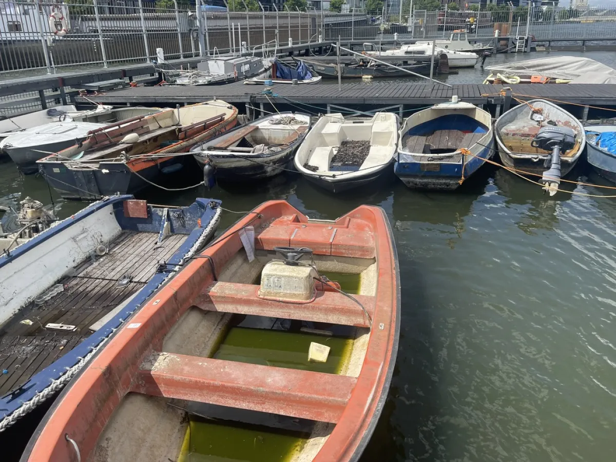 Polyester Budgetboat Rowing boat 400