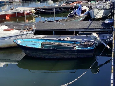 Steel Budgetboat Vlet 450 Photo 0