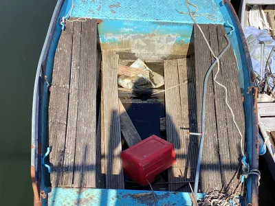 Steel Budgetboat Vlet 450 Photo 3