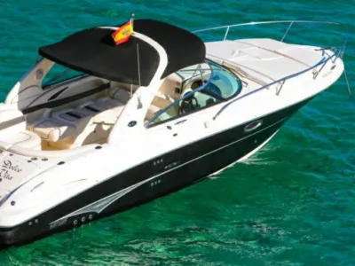 Polyester Motorboat Sea Ray 290 SS Photo 1