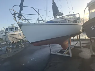 Polyester Sailboat Compromis 850AK Photo 0