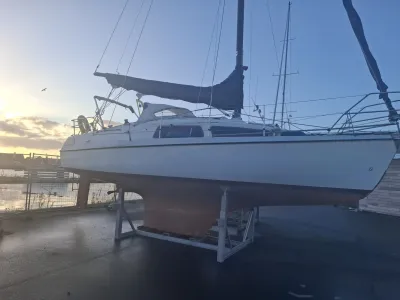 Polyester Sailboat Compromis 850AK Photo 13