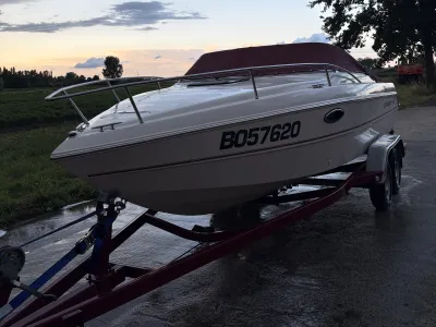 Polyester Speedboat Stingray 220 Photo 1