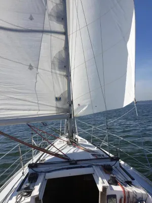 Polyester Sailboat Comet 910 Photo 13