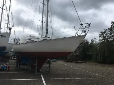Polyester Sailboat Trapper 500 Photo 3
