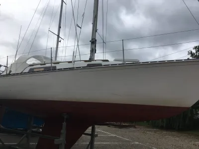 Polyester Sailboat Trapper 500 Photo 4