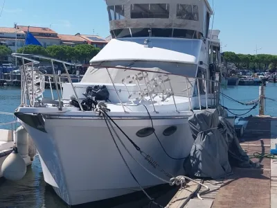 Polyester Motorboat Hershine Trawler Photo 1