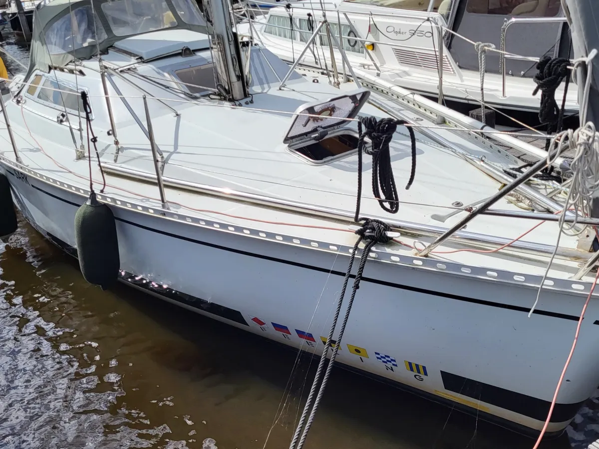 Polyester Sailboat Feeling 29 DI
