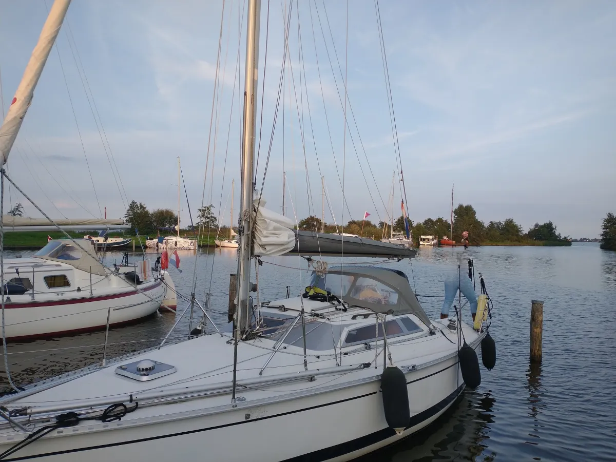 Polyester Sailboat Feeling 29 DI