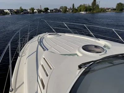 Polyester Motorboat Fairline Targa 43 Photo 13