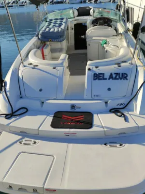 Polyester Bateau rapide Sea Ray 290 SS Photo 8