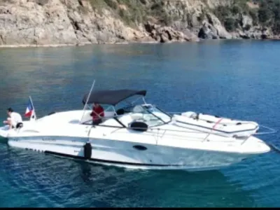 Sea Ray 290 SS