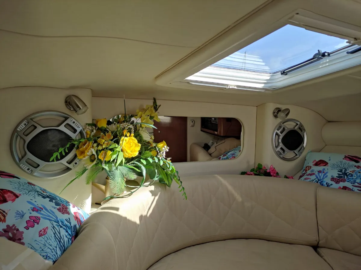 Polyester Bateau rapide Sea Ray 290 SS