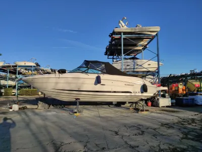 Sea Ray 290 SS