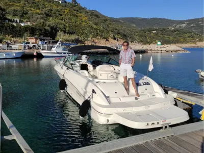 Polyester Bateau rapide Sea Ray 290 SS Photo 3