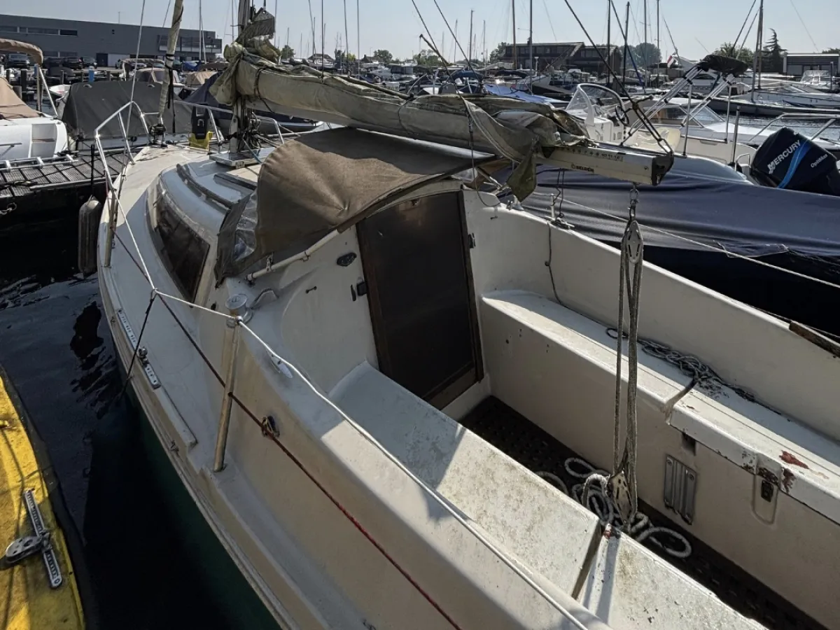 Polyester Sailboat Dehler Varianta 65