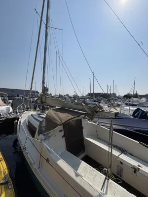 Polyester Sailboat Dehler Varianta 65 Photo 1
