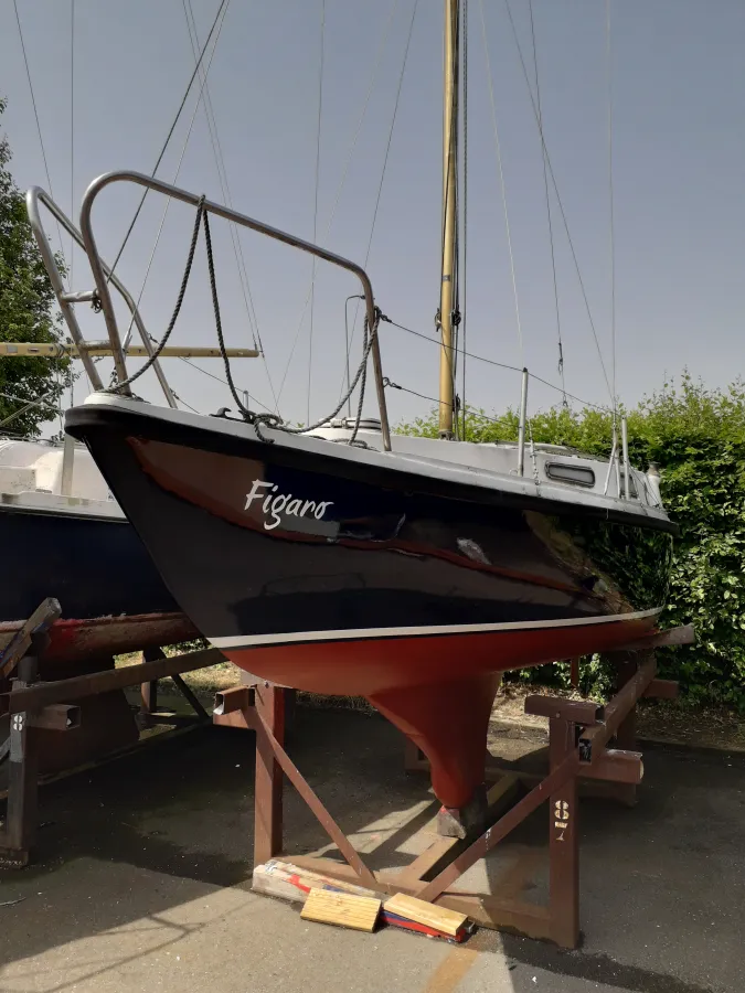 Polyester Zeilboot Saluki Kajuitzeiljacht