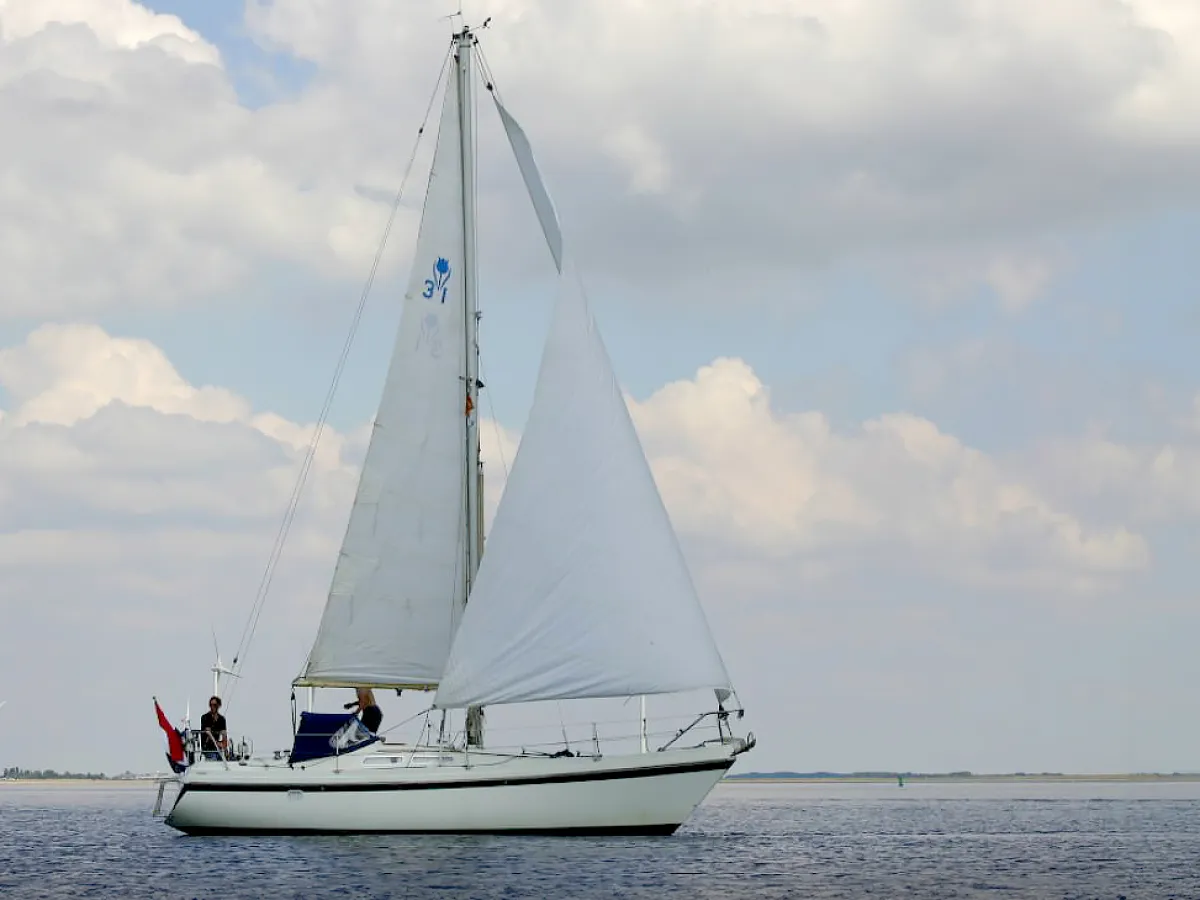 Polyester Segelboot Contest 31 HT AC